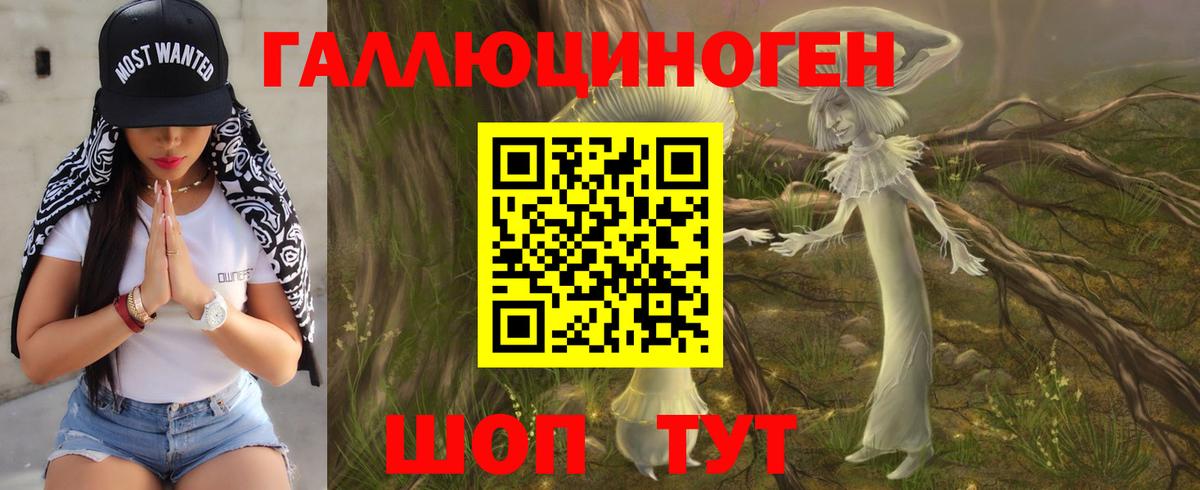 дарнет шоп  Галлюциногенные грибы MAGIC MUSHROOMS  Вход с VPN  Псилоцибиновые грибы Psilocybe  Осинники 